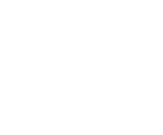 Nadine Team